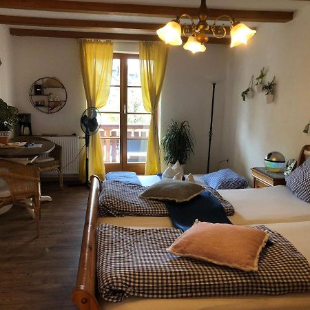 Ferienwohnung Sonne Schliengen Exteriér fotografie